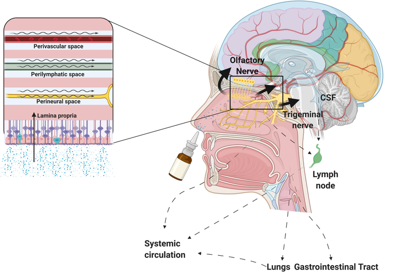 Figure 1: