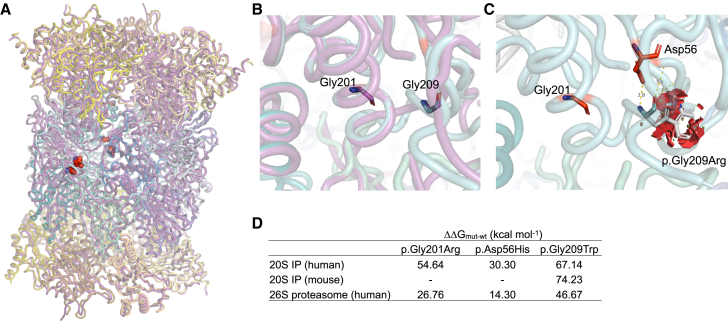 Figure 4