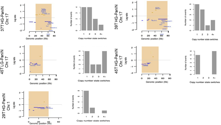 Figure 2