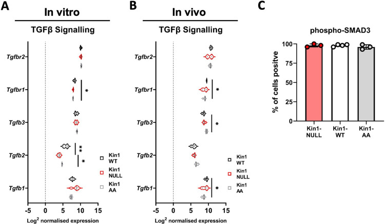 Figure 5—figure supplement 1.