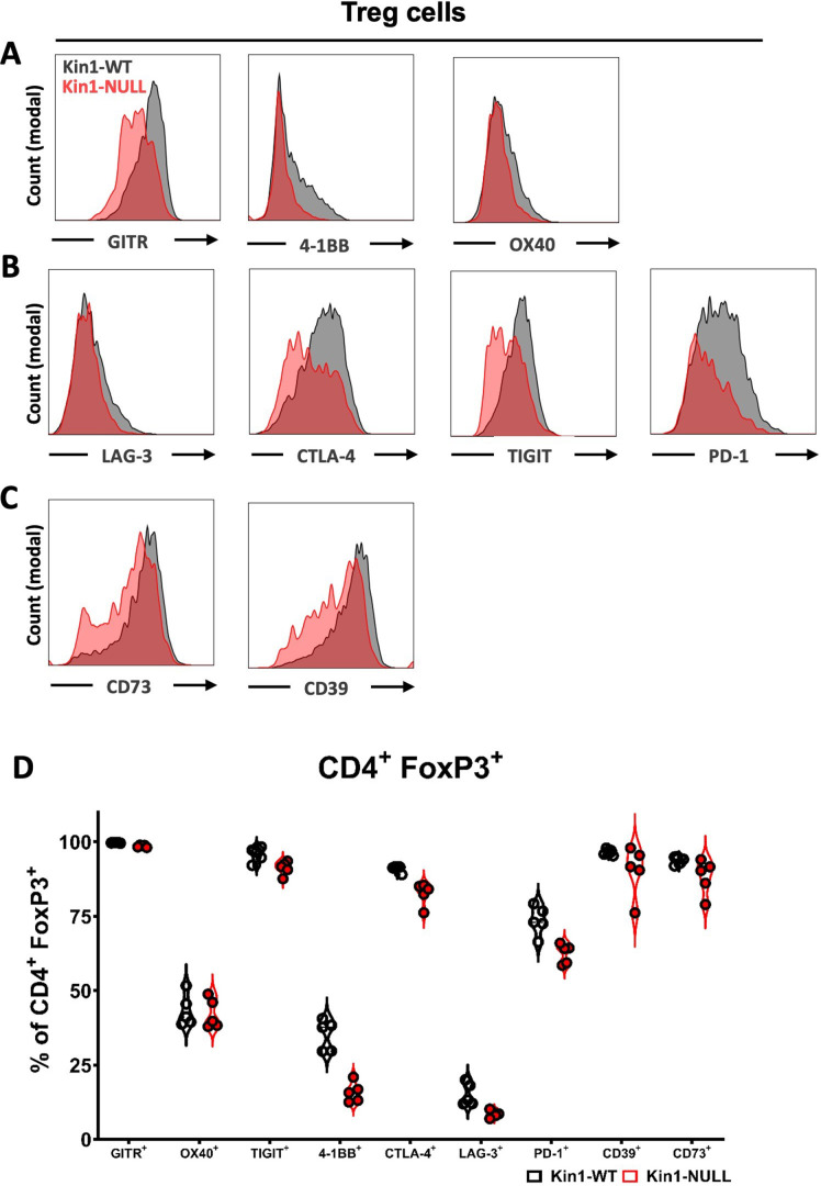 Figure 4—figure supplement 1.