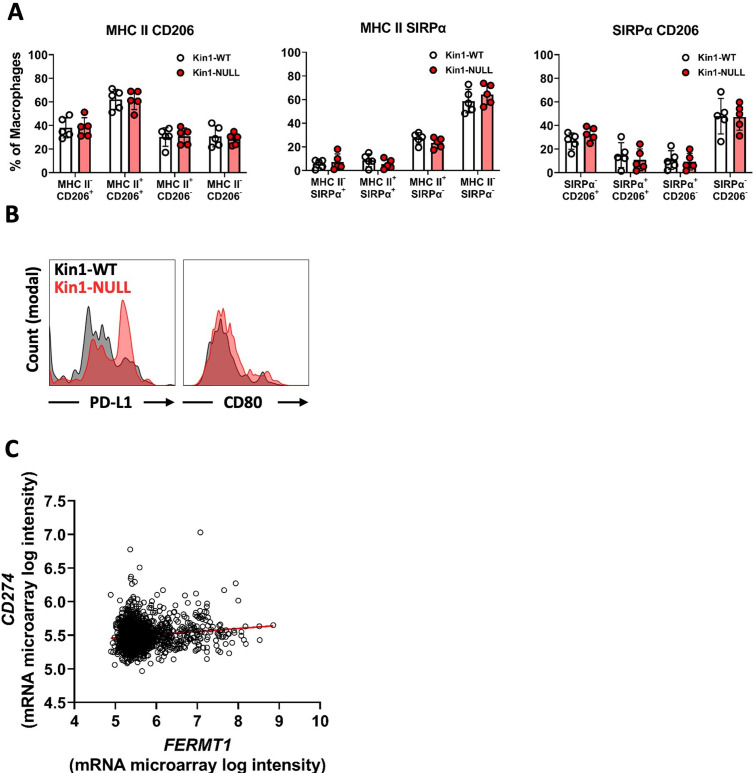 Figure 2—figure supplement 2.