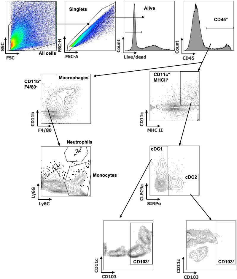 Figure 2—figure supplement 1.