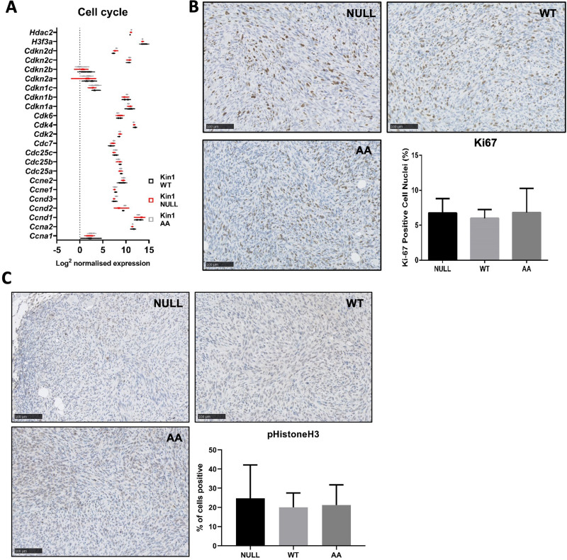 Figure 1—figure supplement 2.