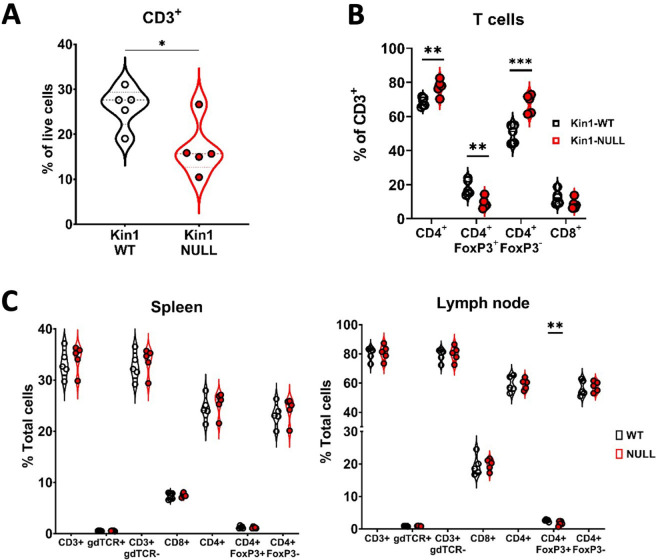 Figure 3—figure supplement 2.