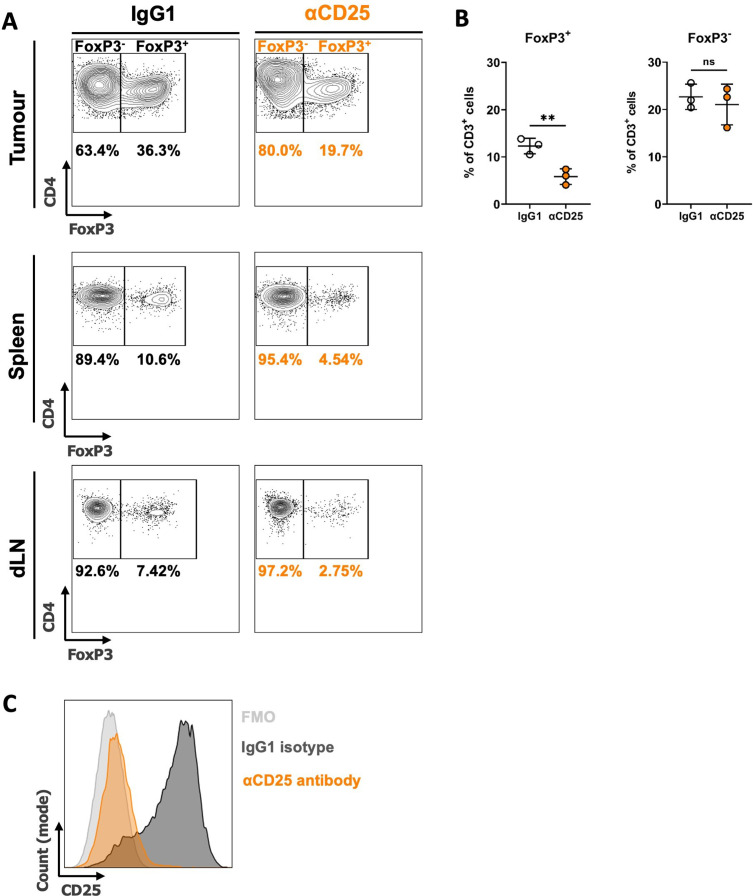 Figure 7—figure supplement 1.