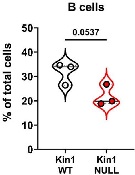 Figure 5—figure supplement 3.