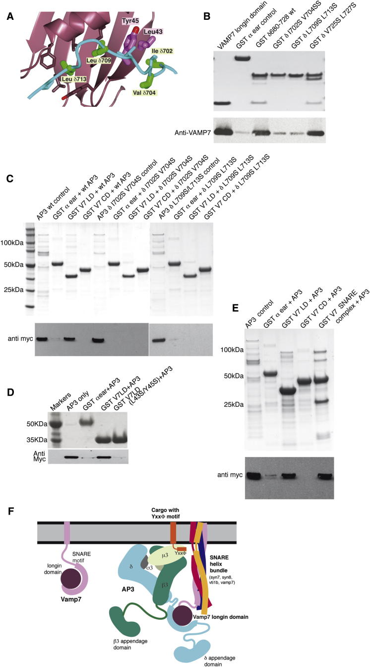 Figure 3