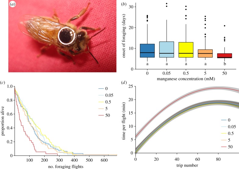 Figure 2.