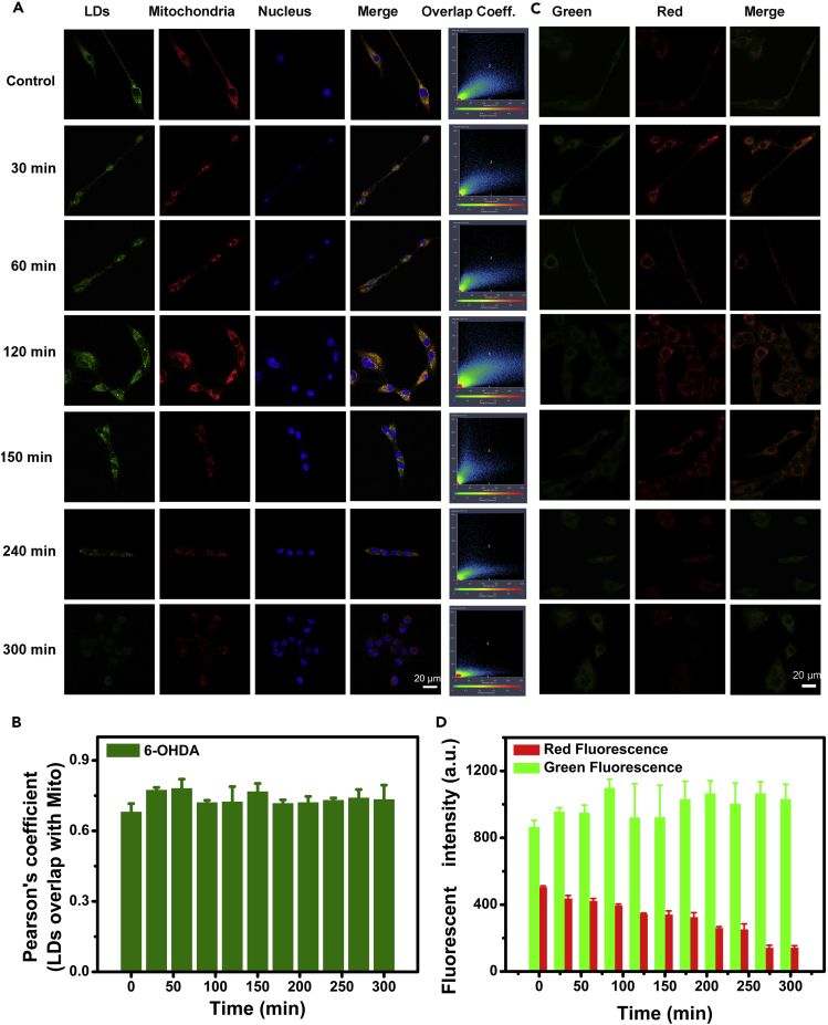 Figure 3