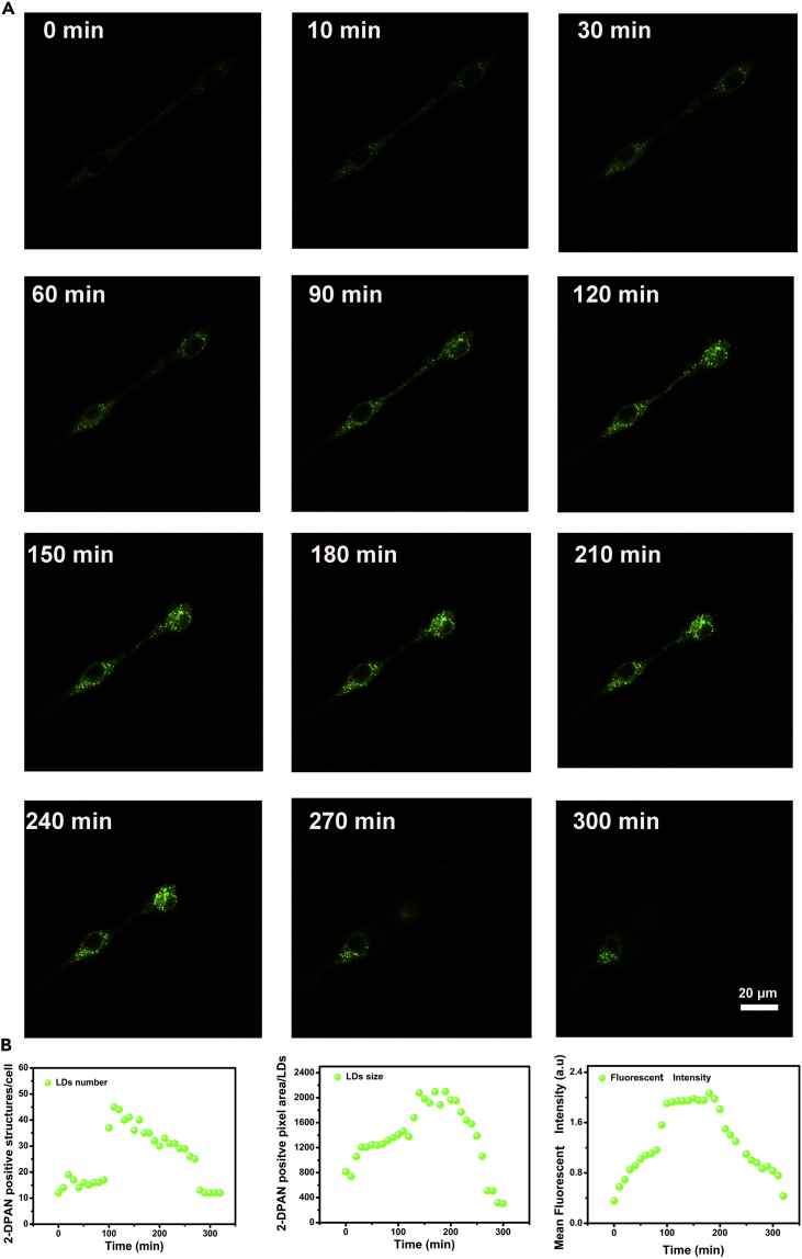 Figure 2