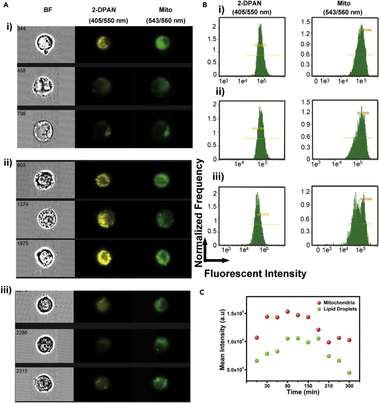 Figure 4