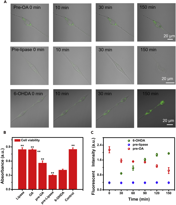 Figure 5