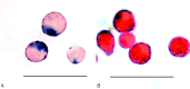 Fig 3.