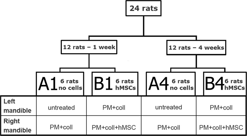 FIG. 1.