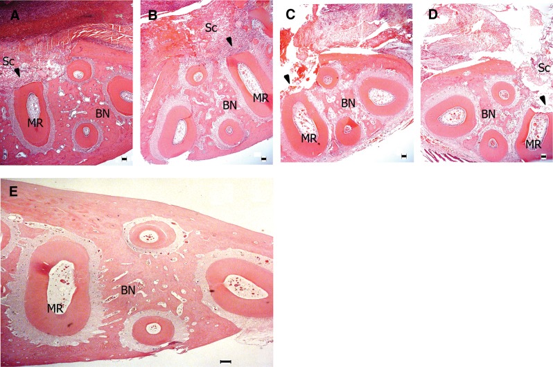 FIG. 4.