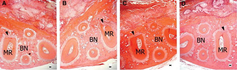 FIG. 5.