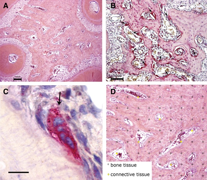 FIG. 8.