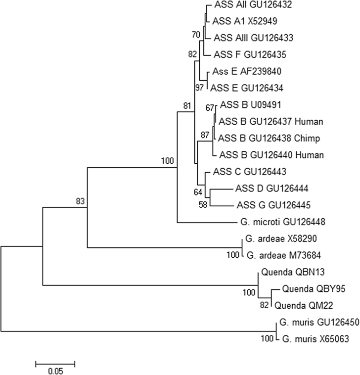 Fig. 4