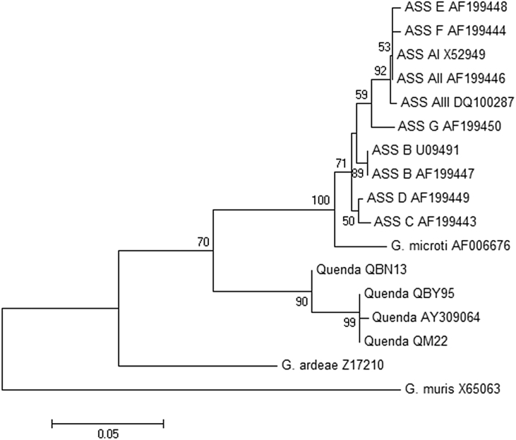 Fig. 3