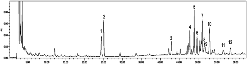 Fig. 1