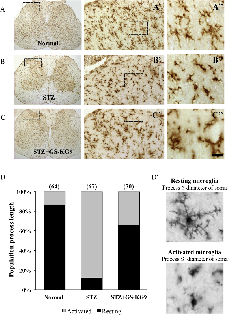 Fig. 4