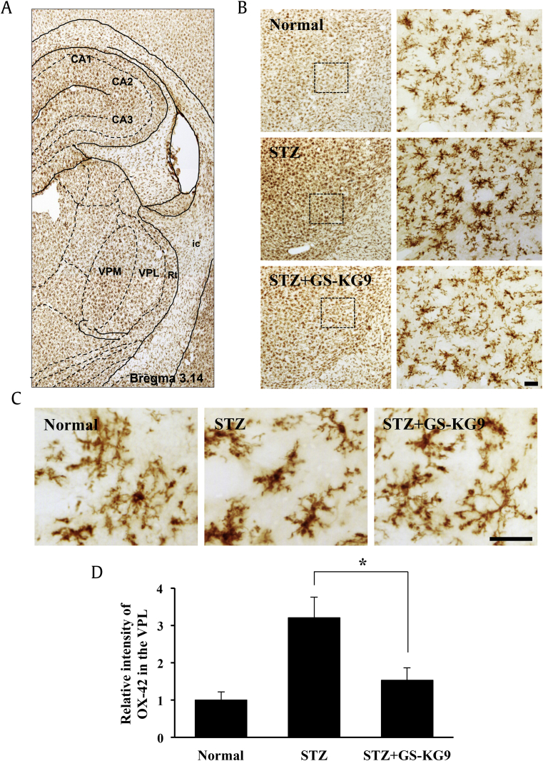 Fig. 6