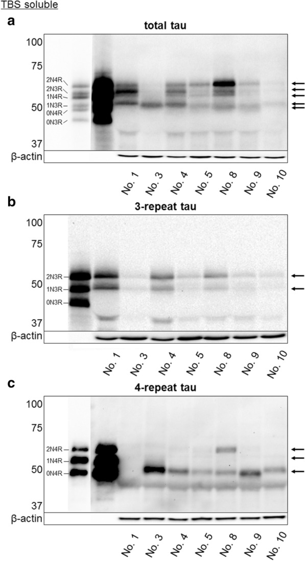 Fig. 5