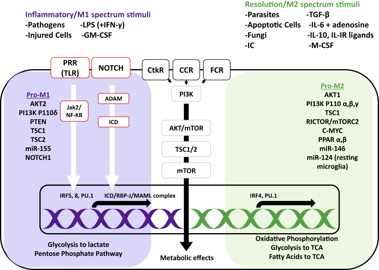 Figure 6