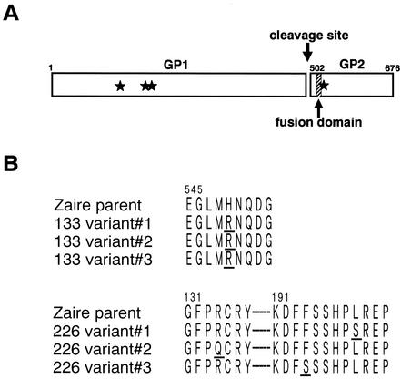 FIG. 5.