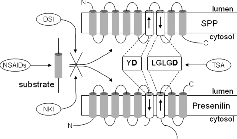 FIGURE 9.