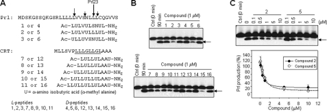 FIGURE 1.