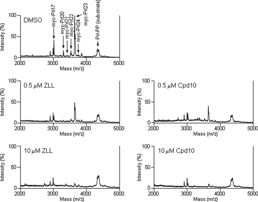 FIGURE 3.