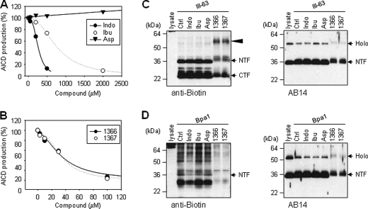 FIGURE 7.