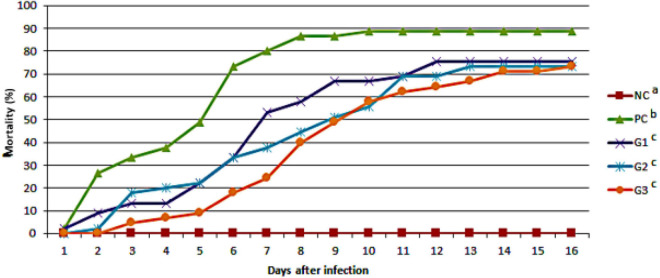 FIGURE 6