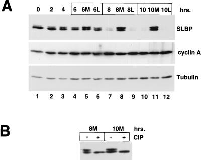 FIG. 7