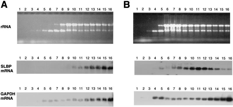 FIG. 9