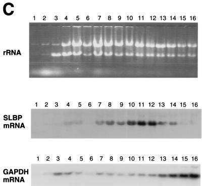 FIG. 9