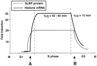 FIG. 10