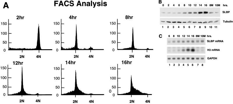 FIG. 8