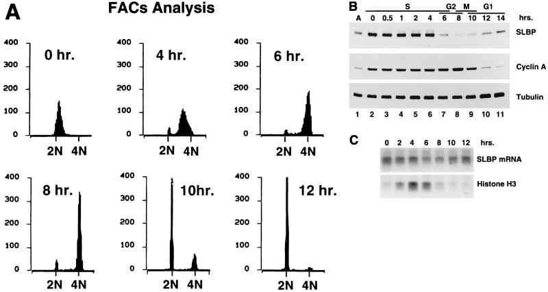 FIG. 6