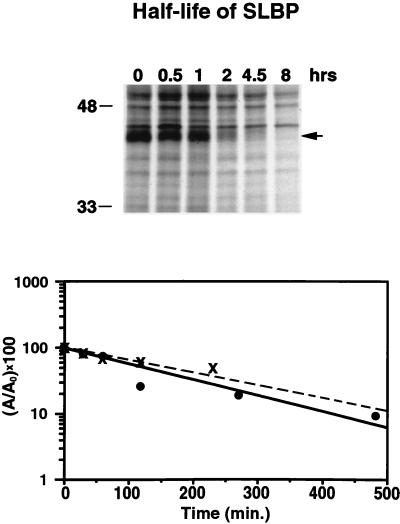 FIG. 5