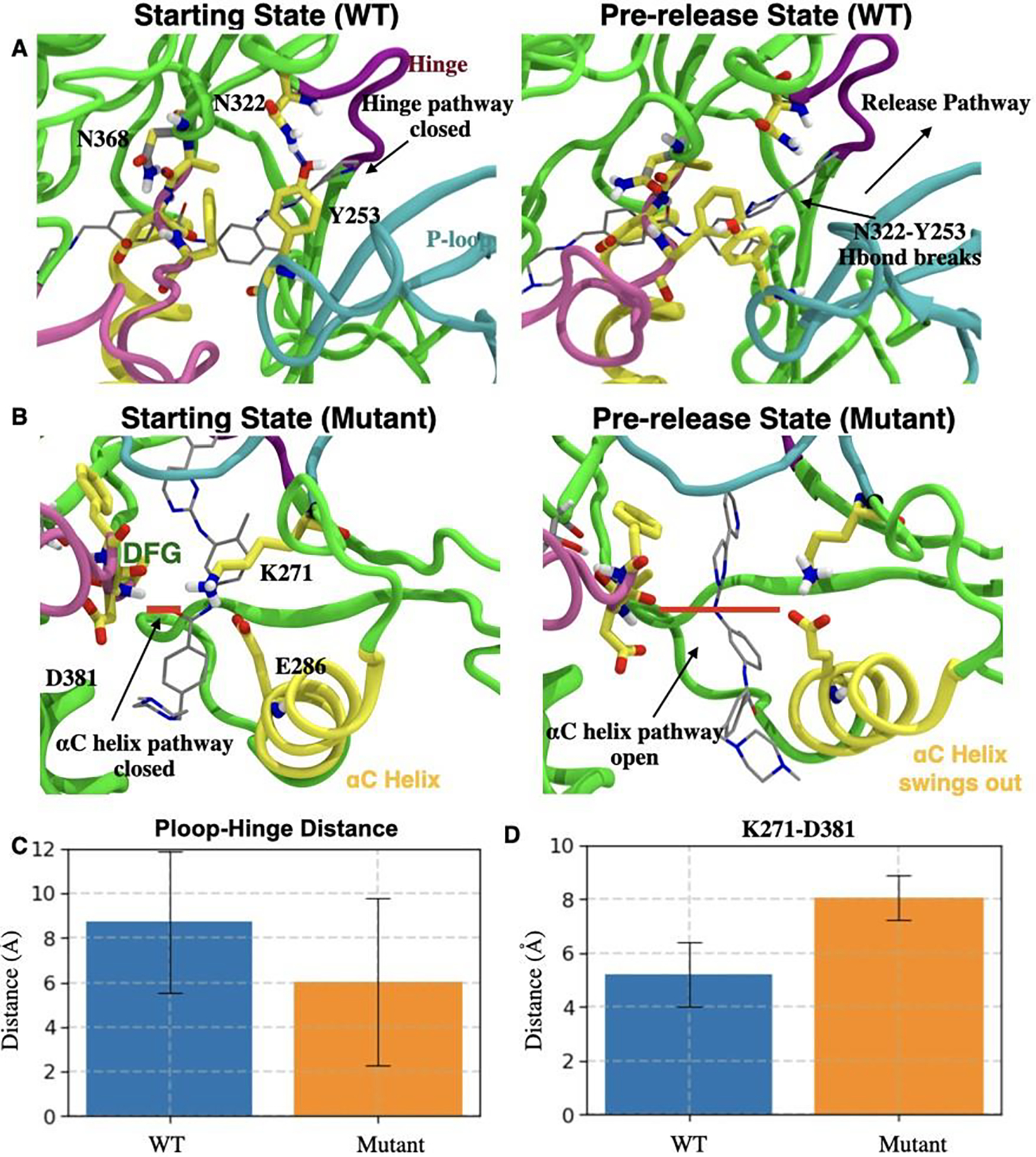 Figure 4: