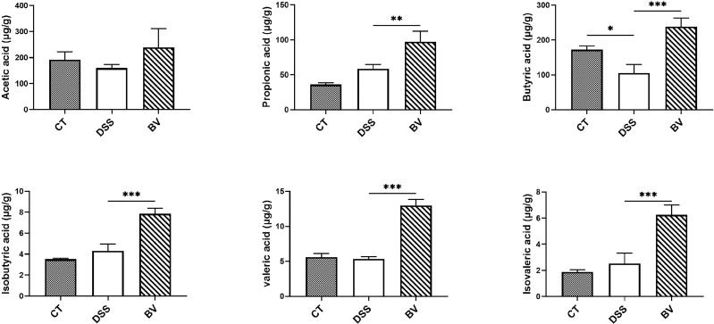 Figure 6