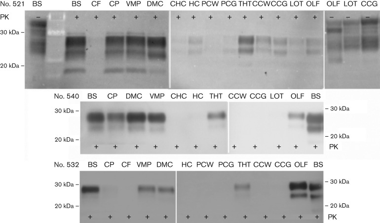 Fig. 3. 