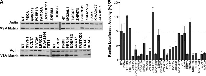 FIG 4