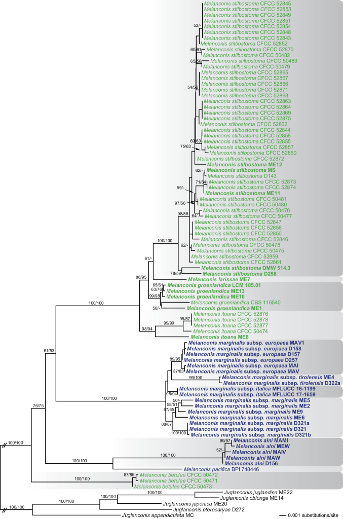 Figure 1.