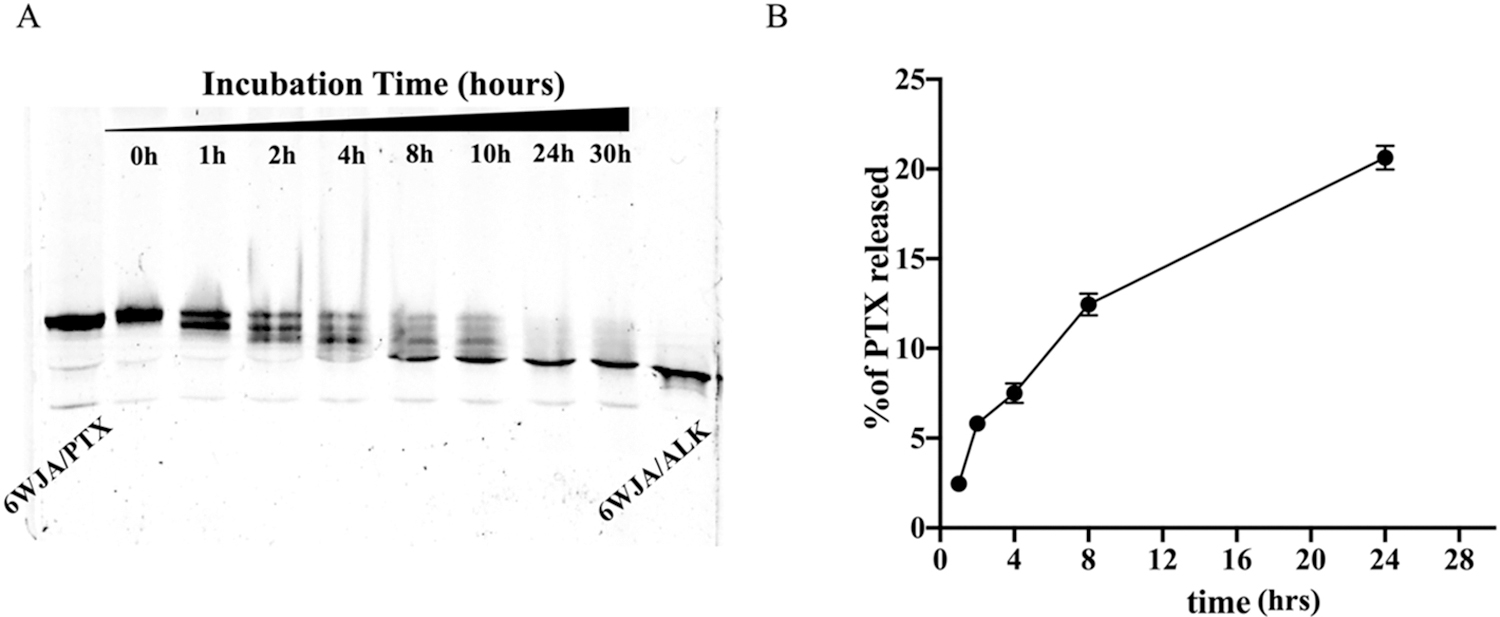 Fig. 5.