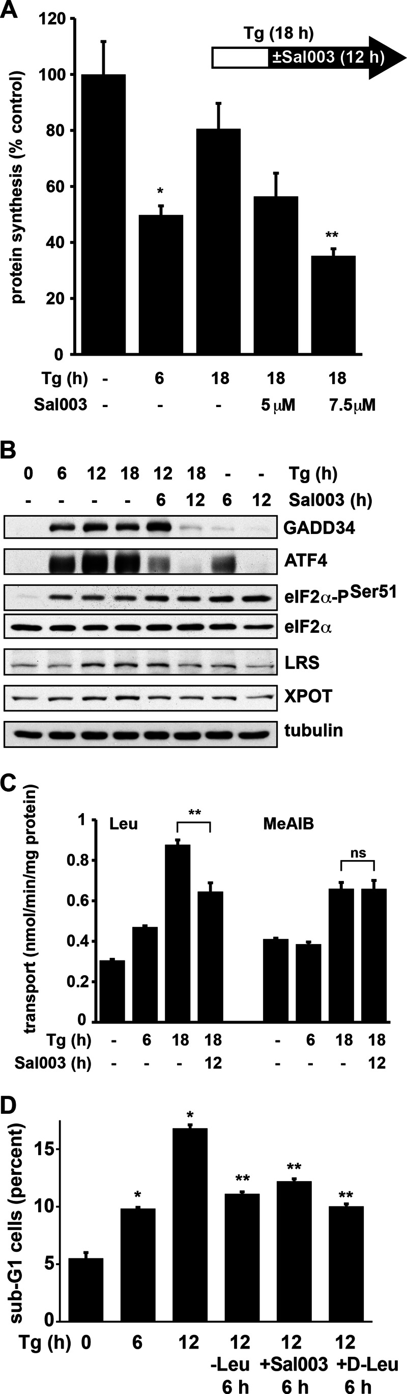 FIGURE 6.