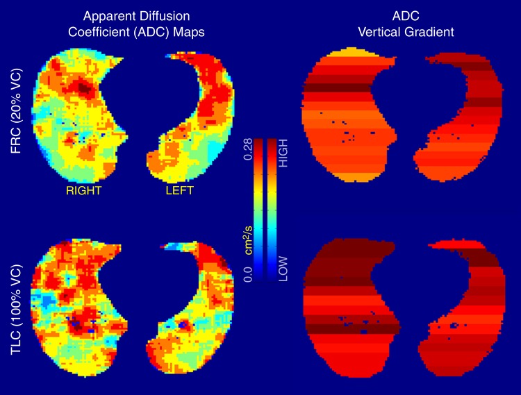 Figure 4: